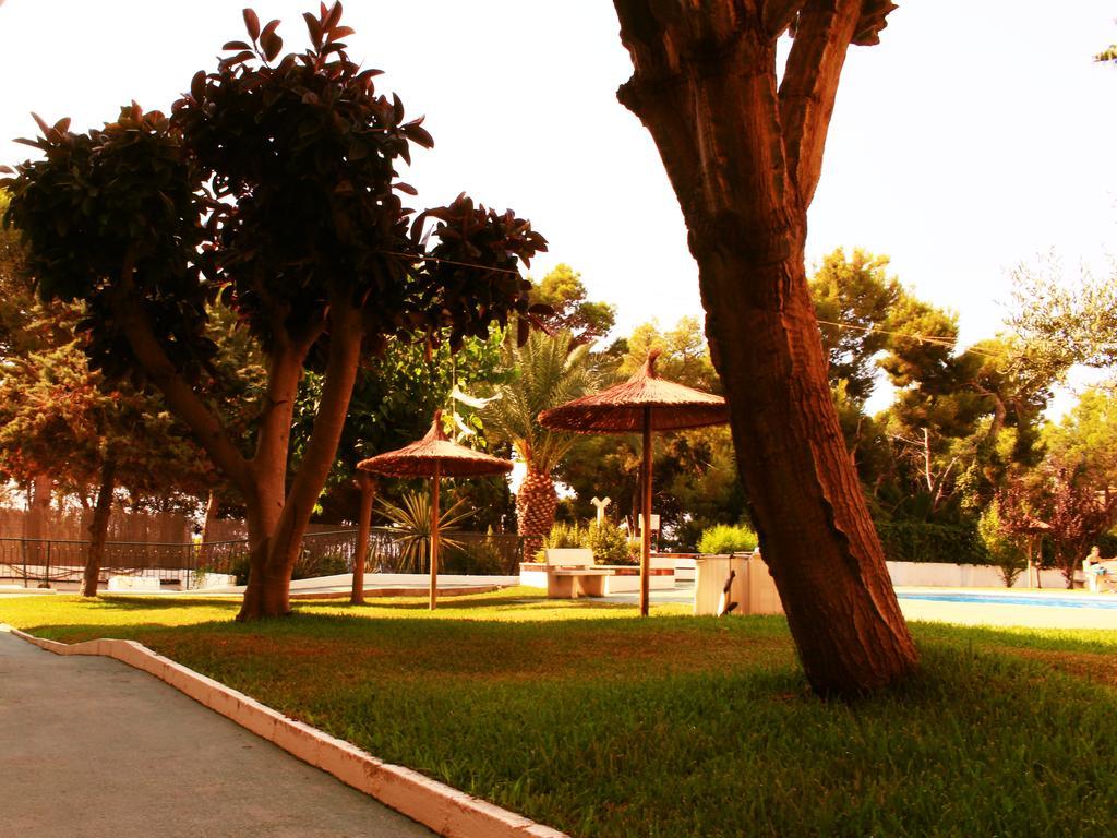 Coveta Beach Apartament El Campello Exterior foto